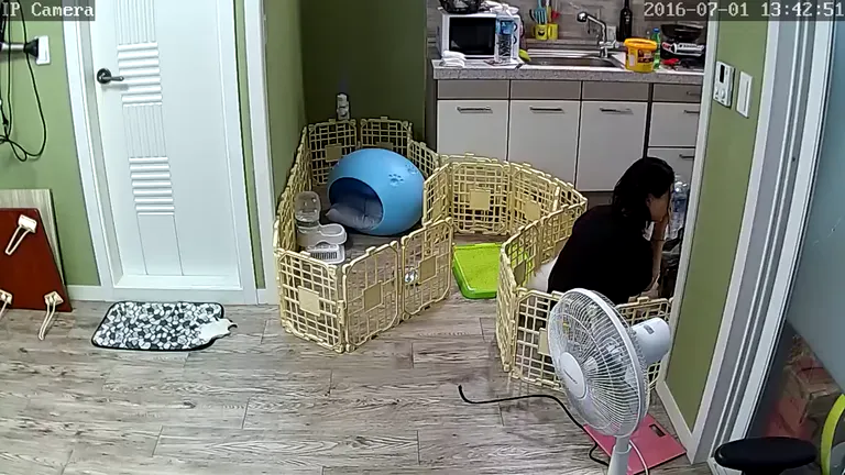 포메 키우는 20대 중반 동거커플