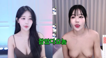 잡았다 요놈 결혼하는 BJ 축전
