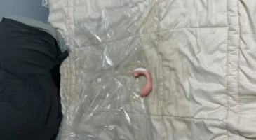 점점 과격하게 변질되는 혼자놀기 트위터 딸쟁이 04화