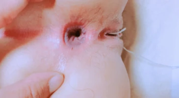 제주도 노예녀 추가본 01화