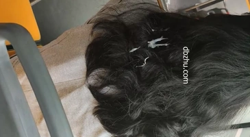 대놓고 자지 문지르는 대륙의 또라이 성추행범 04화