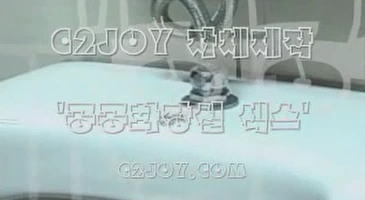 고전 시투조이 공공 화장실 섹스