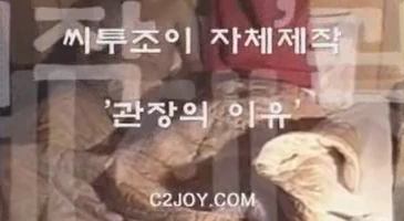 고전 시투조이 관장의 이유