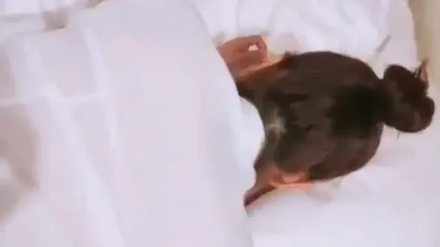 트위터 몬스터 통화플 모음