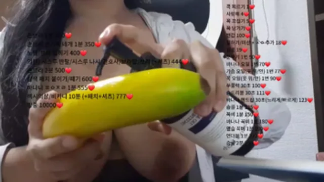 스터디 쿼카 아프리카 첫 실버방 갔던 날