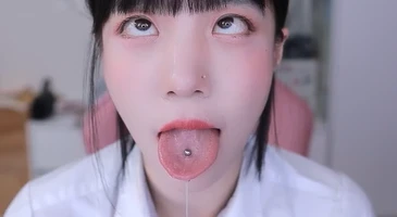 배라소니 아헤가오 컬렉션