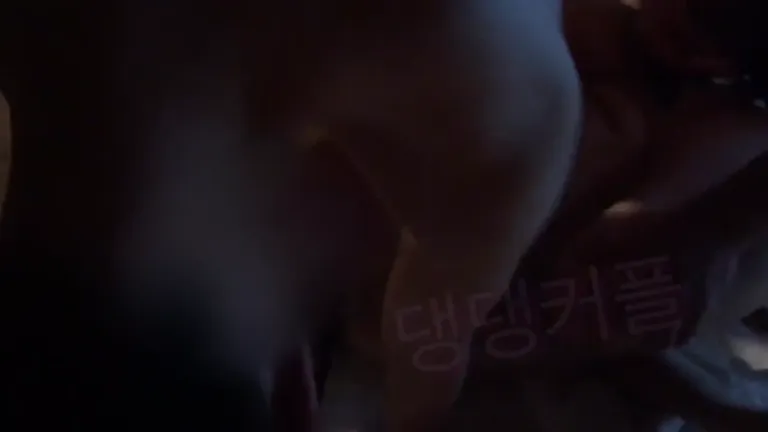 트위터 댕댕커플